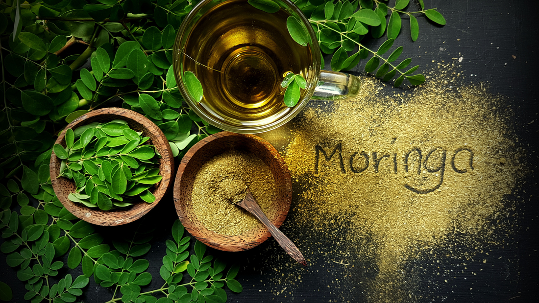 Le Moringa l'Arbre Miracle à Intégrer dans ta Routine Beauté & Bien-Être