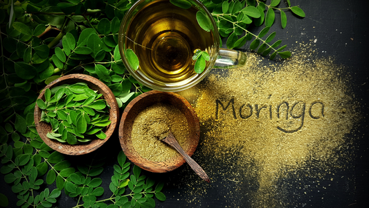 Le Moringa l'Arbre Miracle à Intégrer dans ta Routine Beauté & Bien-Être