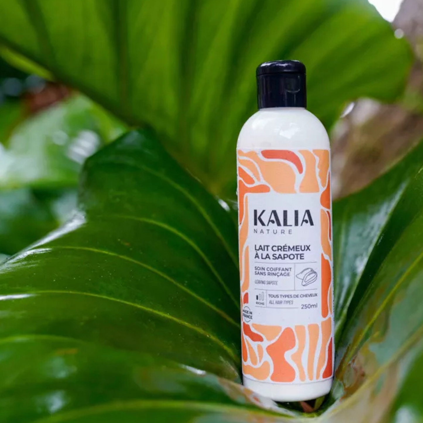 Lait crémeux à la sapote 250 ml KALIA NATURE