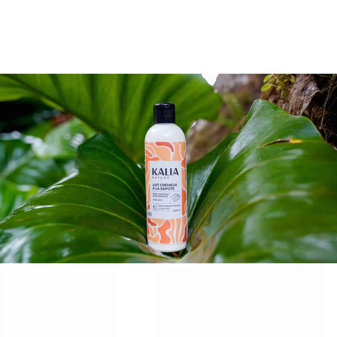 Lait crémeux à la sapote 250 ml KALIA NATURE